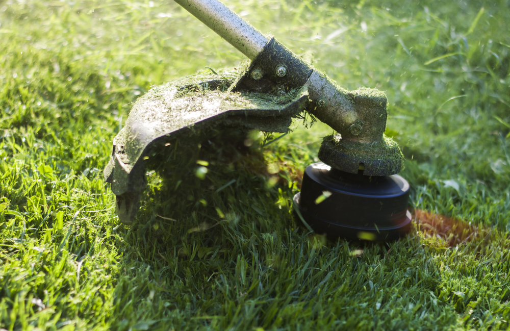 Lawn care and yard maintenance